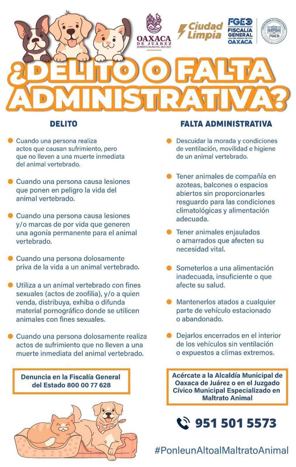 Delito o falta administrativa