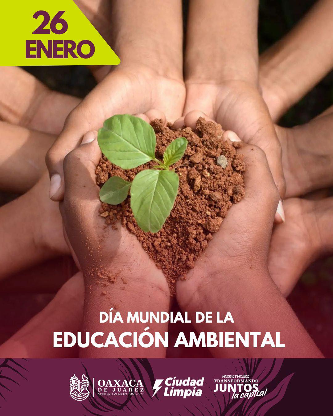 Día Mundial de la Educación Ambiental