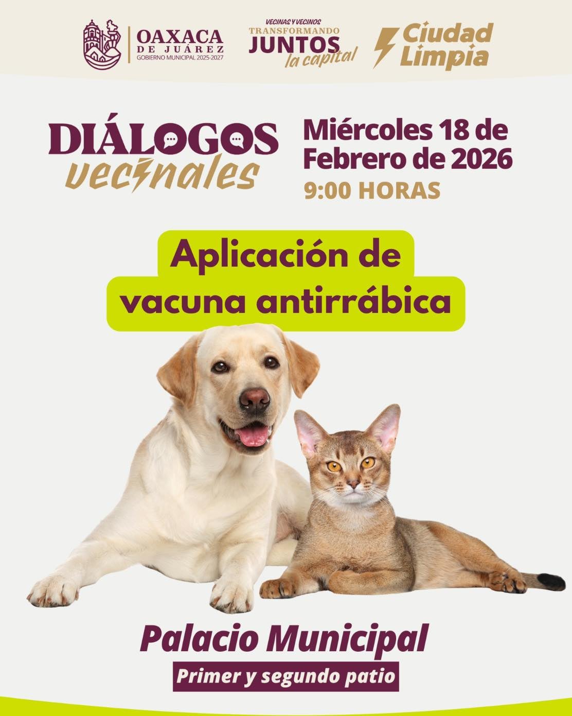 Aplicación de vacuna antirrabica