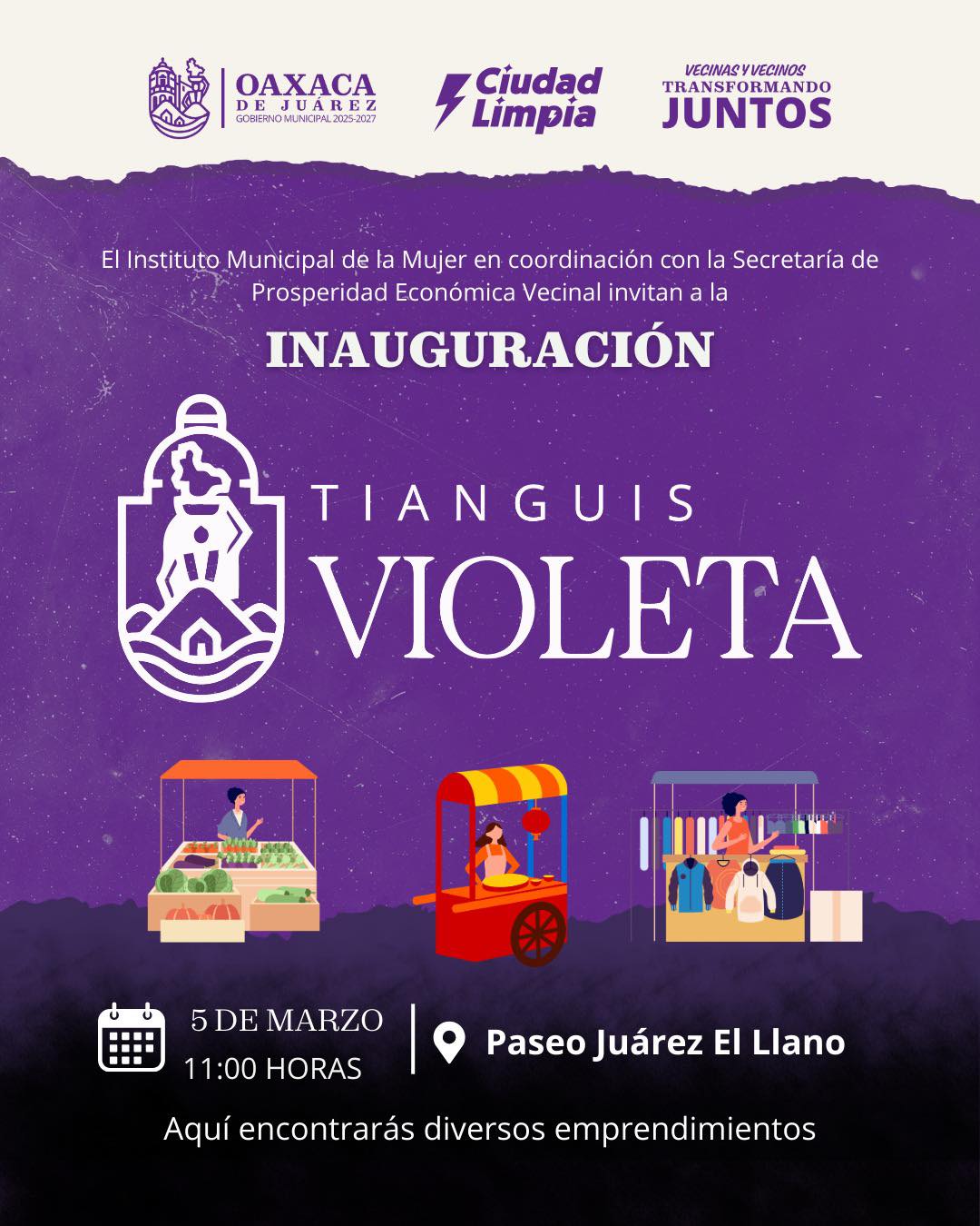 Tianguis violeta