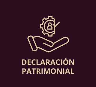 Declaración patrimonial