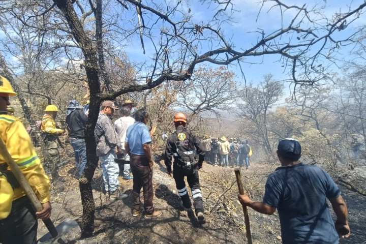 Se activa protocolo de atención para combate de incendio forestal en San Felipe de Agua