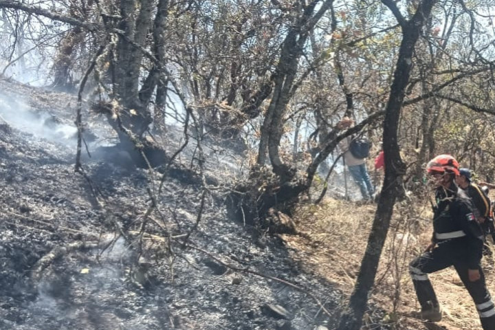 Se activa protocolo de atención para combate de incendio forestal en San Felipe de Agua