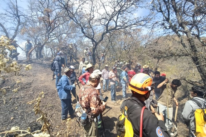 Se activa protocolo de atención para combate de incendio forestal en San Felipe de Agua