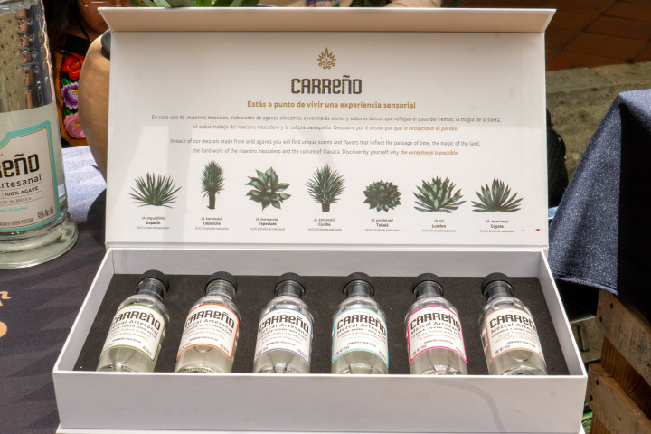 Abre sus puertas la Muestra Primavera: Mezcal, Nieves y Artesanías en Palacio Municipal