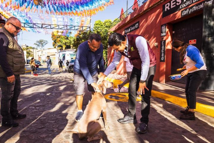 Encabeza Ray Chagoya tequio vecinal en el Barrio de Jalatlaco