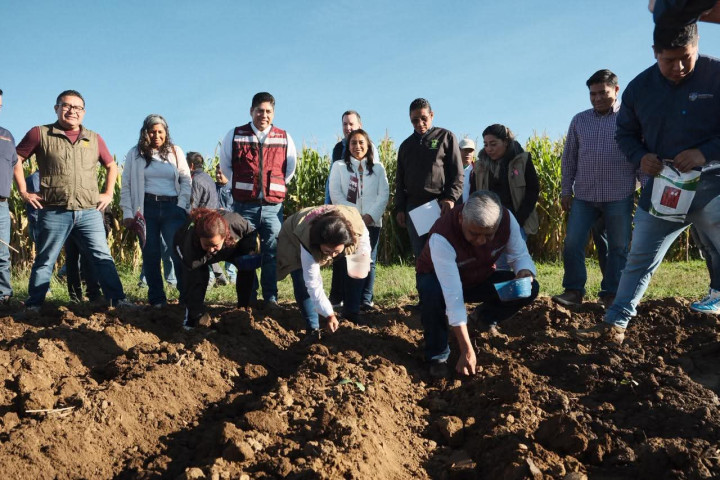 Oaxaca de Juárez da inicio a la siembra simbólica de rábanos rumbo a la Noche de Rábanos 2025