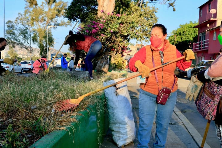 Tequio fortalece la limpieza y el trabajo vecinal en la colonia Arboleda