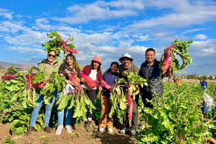 Invitan a disfrutar la Edición 128 de la Noche de Rábanos 2025, en el marco de una Ciudad Limpia y Segura