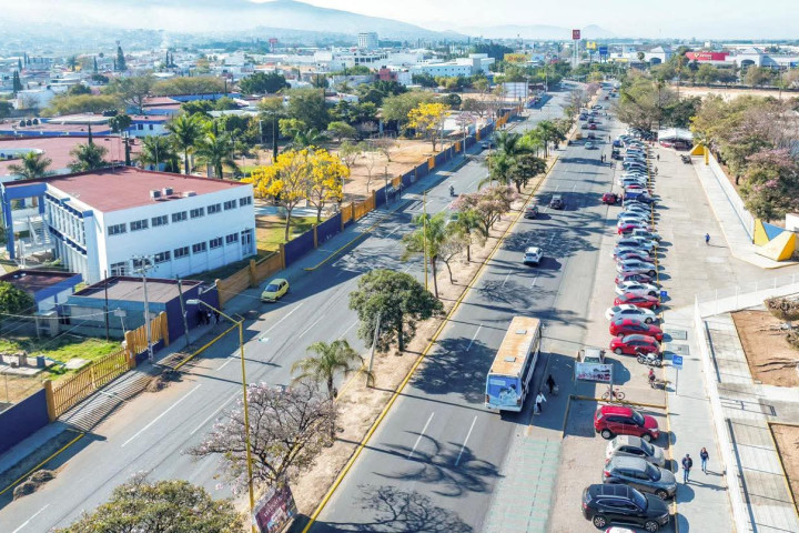 El Tequio Vecinal de este domingo se realizó en Avenida Universidad