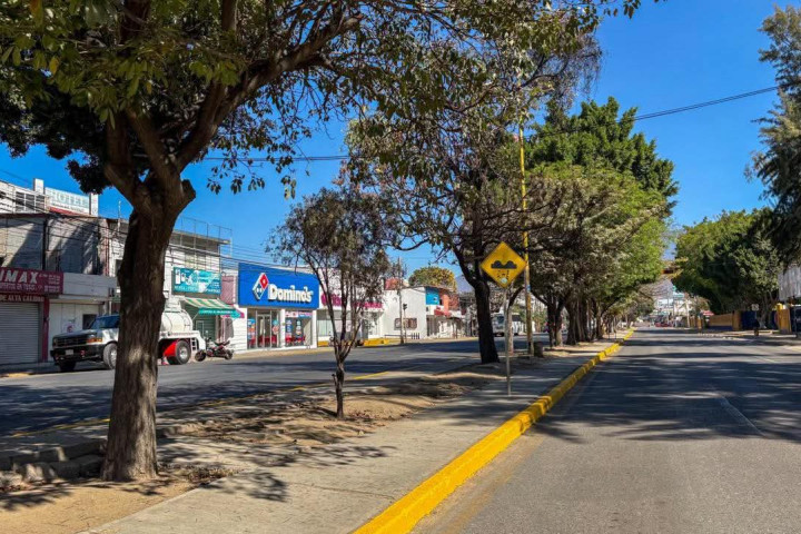 El Tequio Vecinal de este domingo se realizó en Avenida Universidad