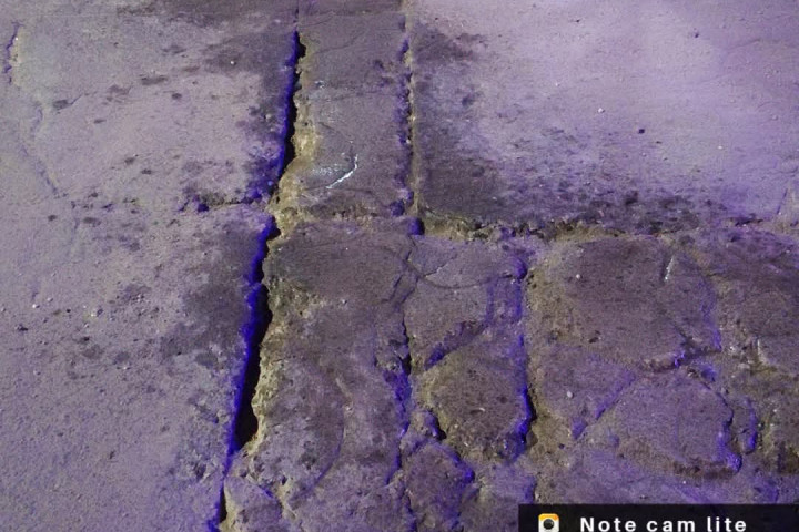 Tache al Bache en acción