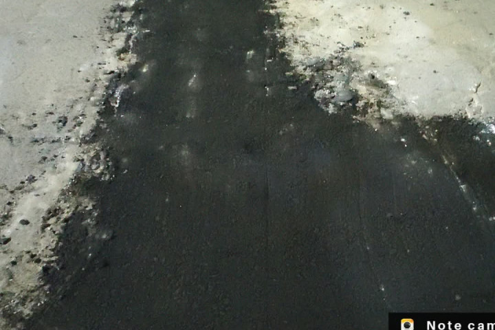 Tache al Bache en acción