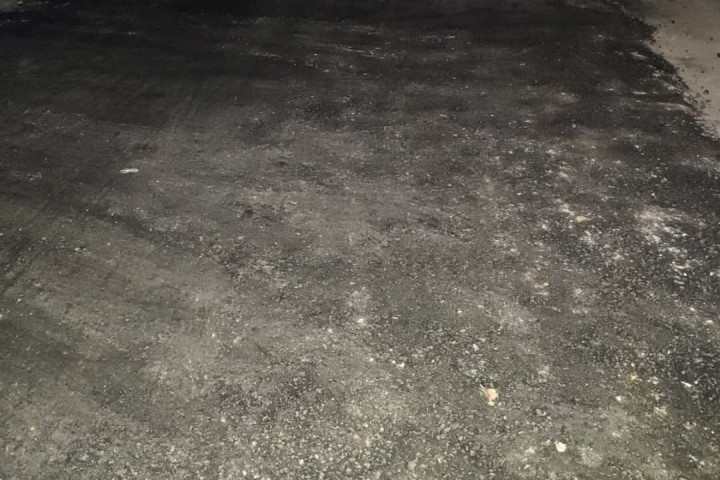 Tache al Bache en acción