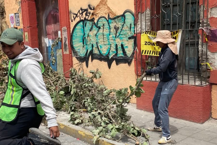 Se realiza el retiro de escombro y ramas tras el colapso de una barda en la calle Colón