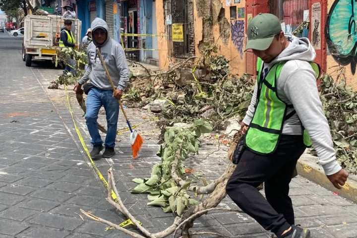 Se realiza el retiro de escombro y ramas tras el colapso de una barda en la calle Colón