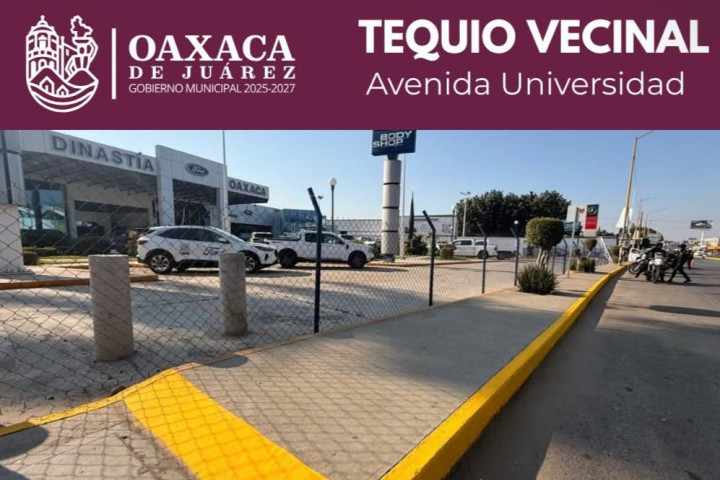 Trabajo que se ve: vecinas y vecinos realizan Tequio Vecinal en Avenida Universidad