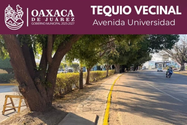 Trabajo que se ve: vecinas y vecinos realizan Tequio Vecinal en Avenida Universidad