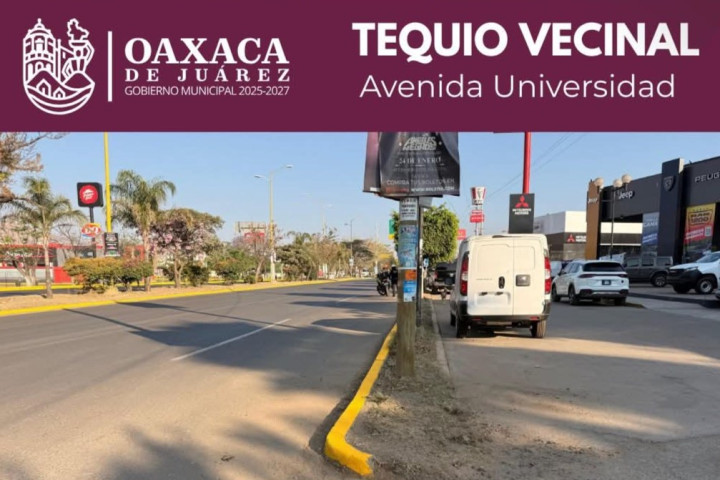 Trabajo que se ve: vecinas y vecinos realizan Tequio Vecinal en Avenida Universidad