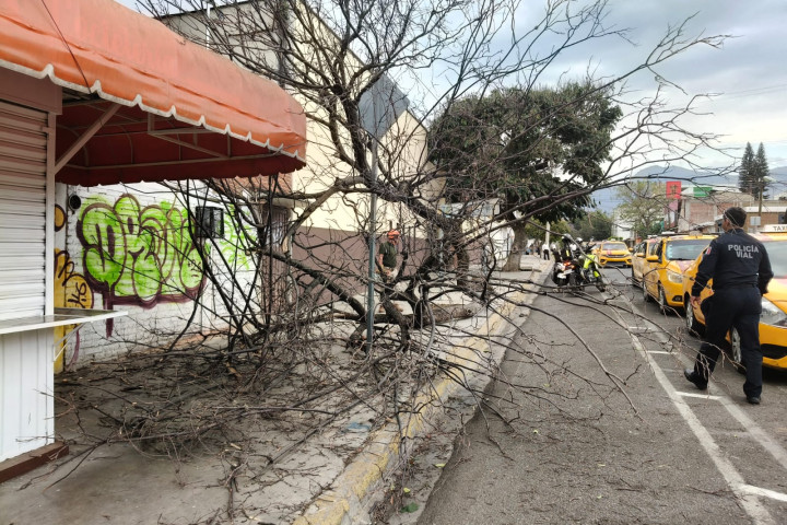 Atención a vecinas y vecinos