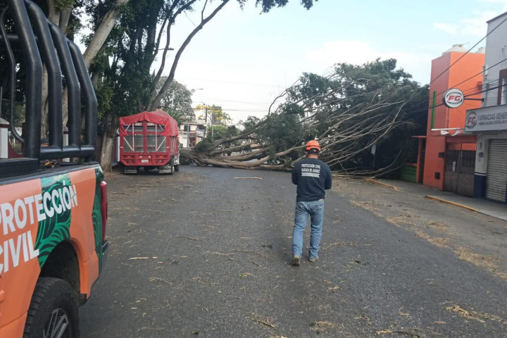 Atención a vecinas y vecinos