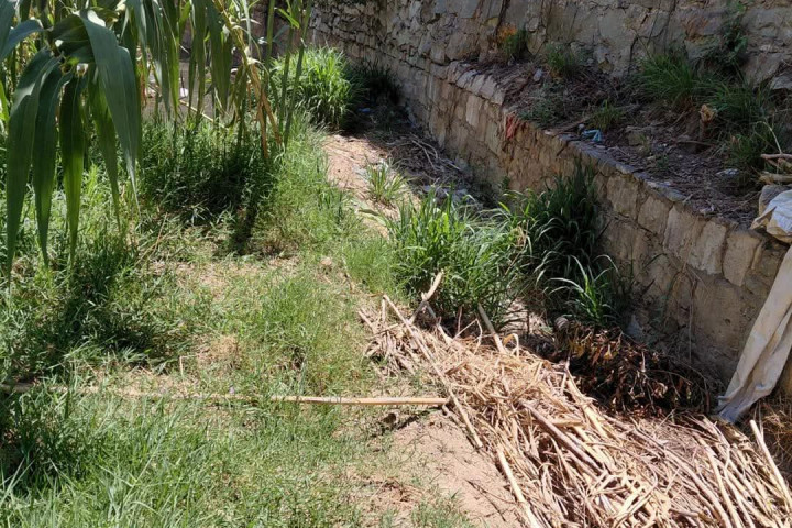 Continúan las labores de limpieza en el Río San Felipe