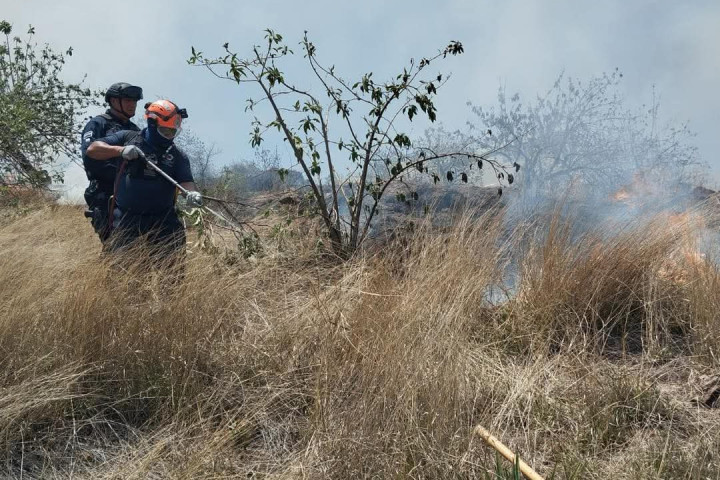 Atención a incendio en el Cerro del Crestón