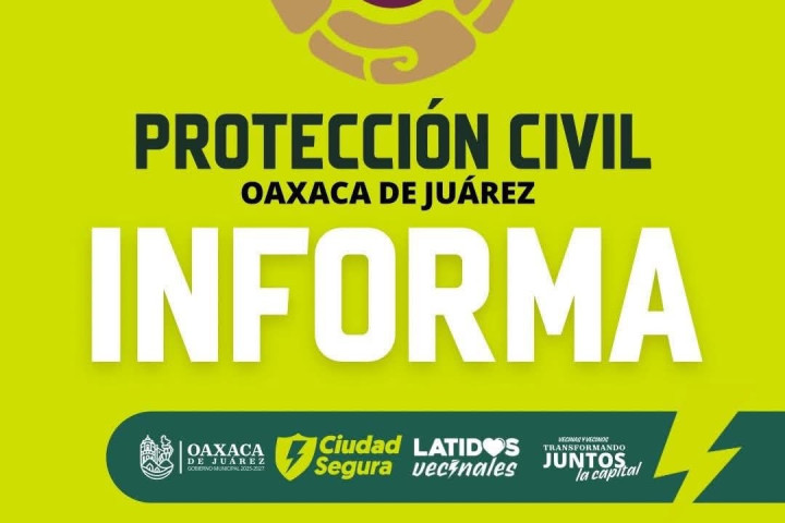 Incendio de un árbol tras la caída de un rayo