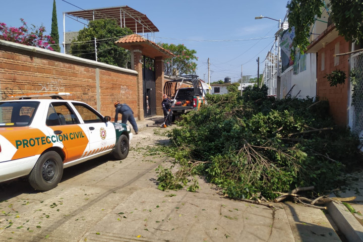 Continúan trabajos de atención y monitoreo en Oaxaca de Juárez tras lluvias