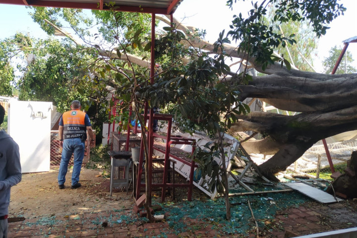 Continúan trabajos de atención y monitoreo en Oaxaca de Juárez tras lluvias