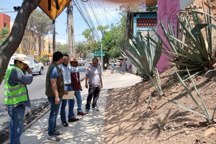 Al cuidado y preservación del arbolado urbano