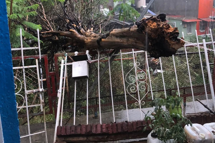 Se atienden los reportes de vecinas y vecinos en diferentes zonas de la capital